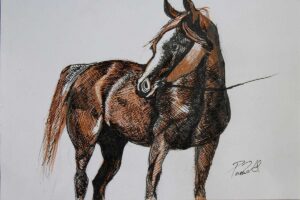 Pavao-Bohaček-artpavaob-vranac